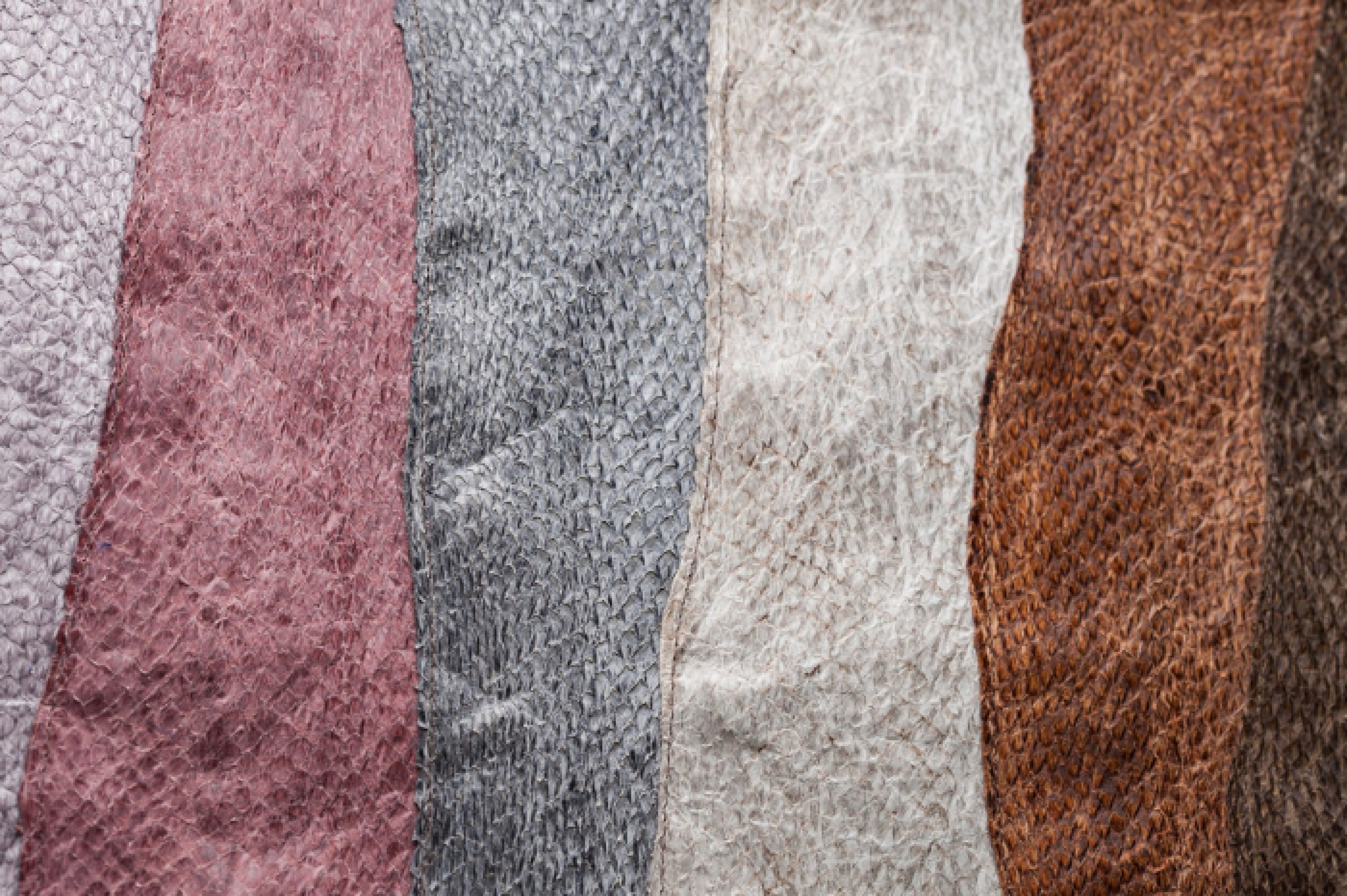 An image of sustainable leathers features (from left to right) a colour palette of lilacs, plums, greys, and earthy browns.